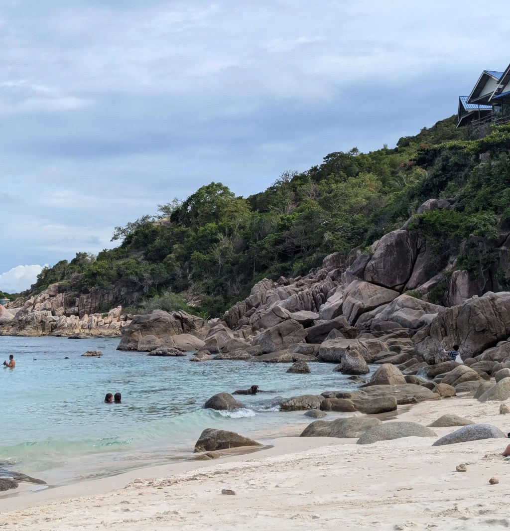 🐠 Koh Tao