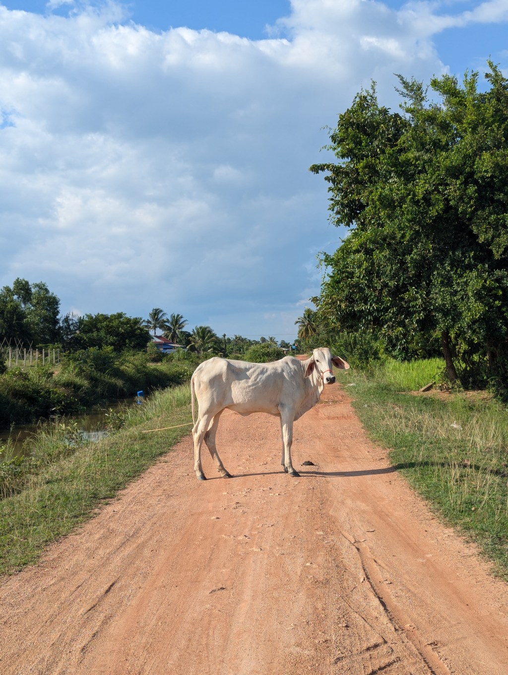 🦀 Kampot &&nbsp;Kep