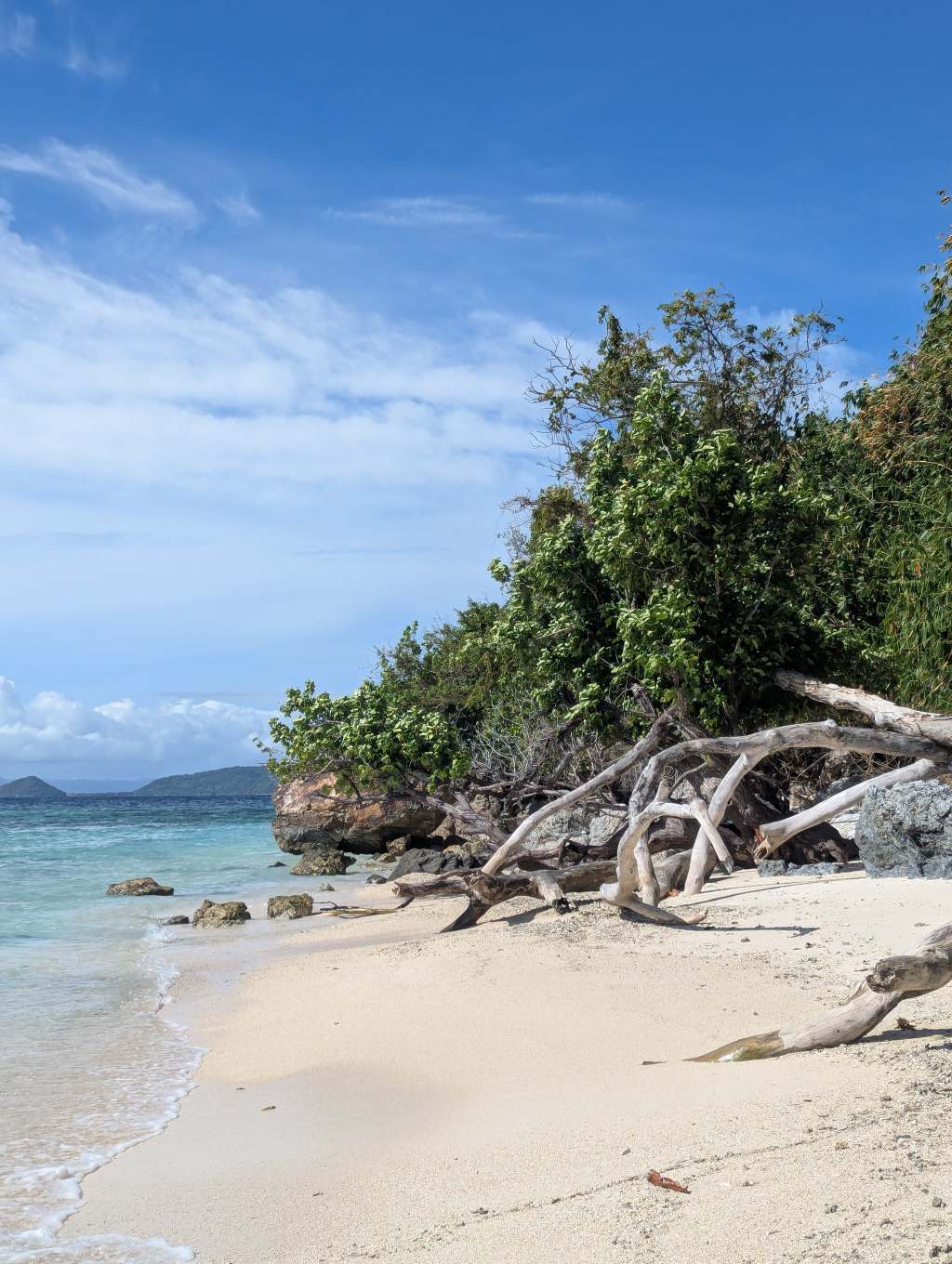 1 mois aux Philippines